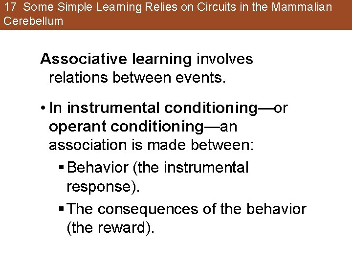 17 Some Simple Learning Relies on Circuits in the Mammalian Cerebellum Associative learning involves 17 Some Simple Learning Relies on Circuits in the Mammalian Cerebellum Associative learning involves
