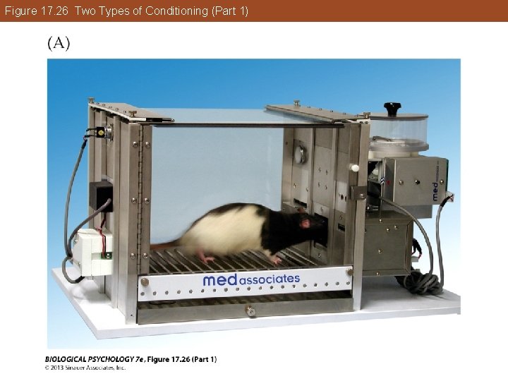 Figure 17. 26 Two Types of Conditioning (Part 1) Figure 17. 26 Two Types of Conditioning (Part 1)