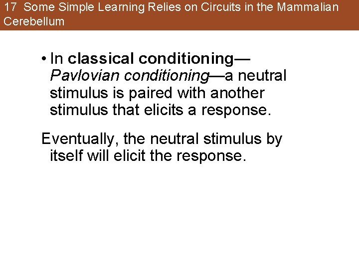 17 Some Simple Learning Relies on Circuits in the Mammalian Cerebellum • In classical 17 Some Simple Learning Relies on Circuits in the Mammalian Cerebellum • In classical