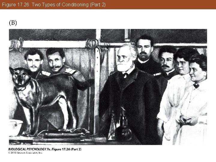 Figure 17. 26 Two Types of Conditioning (Part 2) Figure 17. 26 Two Types of Conditioning (Part 2)