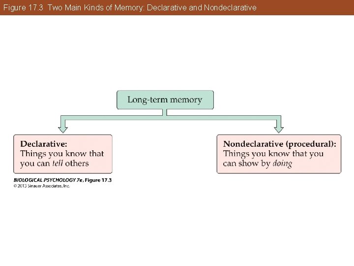 Figure 17. 3 Two Main Kinds of Memory: Declarative and Nondeclarative Figure 17. 3 Two Main Kinds of Memory: Declarative and Nondeclarative