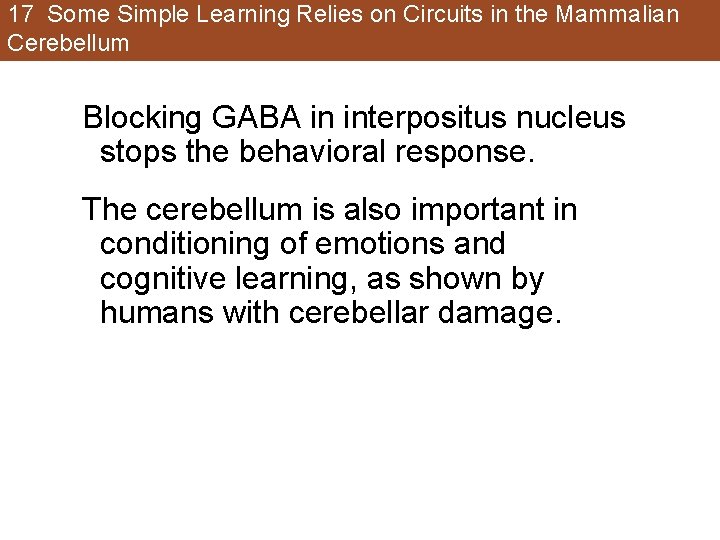 17 Some Simple Learning Relies on Circuits in the Mammalian Cerebellum Blocking GABA in 17 Some Simple Learning Relies on Circuits in the Mammalian Cerebellum Blocking GABA in