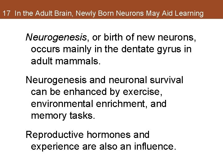 17 In the Adult Brain, Newly Born Neurons May Aid Learning Neurogenesis, or birth 17 In the Adult Brain, Newly Born Neurons May Aid Learning Neurogenesis, or birth