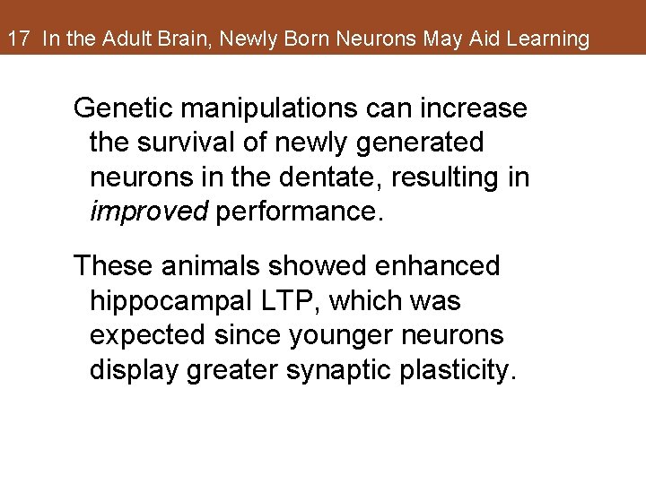 17 In the Adult Brain, Newly Born Neurons May Aid Learning Genetic manipulations can 17 In the Adult Brain, Newly Born Neurons May Aid Learning Genetic manipulations can