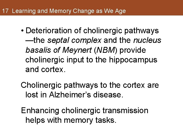 17 Learning and Memory Change as We Age • Deterioration of cholinergic pathways —the 17 Learning and Memory Change as We Age • Deterioration of cholinergic pathways —the