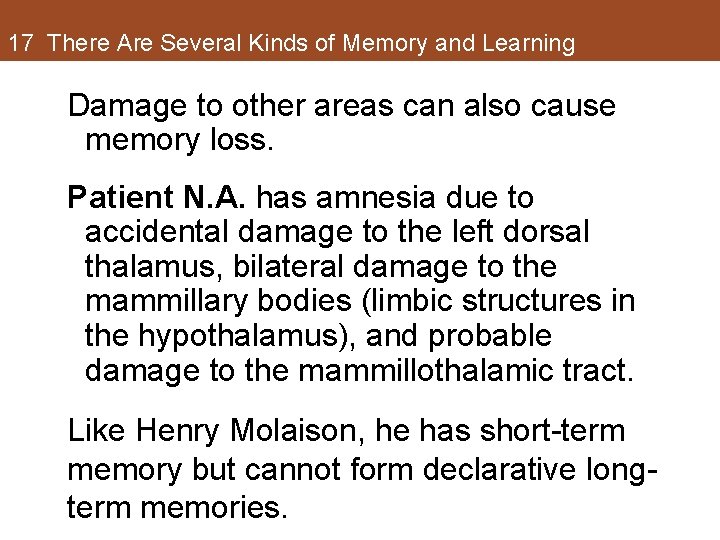 17 There Are Several Kinds of Memory and Learning Damage to other areas can 17 There Are Several Kinds of Memory and Learning Damage to other areas can