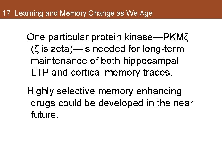17 Learning and Memory Change as We Age One particular protein kinase—PKMζ (ζ is 17 Learning and Memory Change as We Age One particular protein kinase—PKMζ (ζ is
