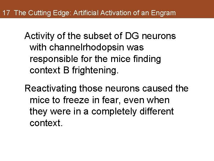17 The Cutting Edge: Artificial Activation of an Engram Activity of the subset of 17 The Cutting Edge: Artificial Activation of an Engram Activity of the subset of