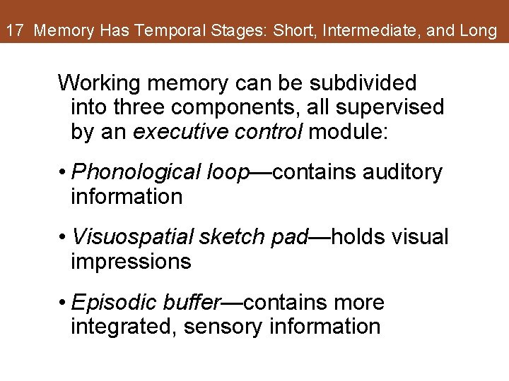 17 Memory Has Temporal Stages: Short, Intermediate, and Long Working memory can be subdivided 17 Memory Has Temporal Stages: Short, Intermediate, and Long Working memory can be subdivided