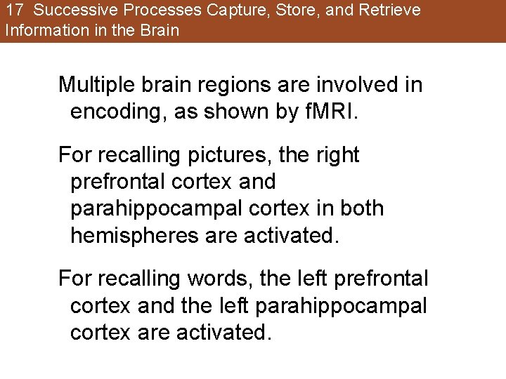 17 Successive Processes Capture, Store, and Retrieve Information in the Brain Multiple brain regions 17 Successive Processes Capture, Store, and Retrieve Information in the Brain Multiple brain regions