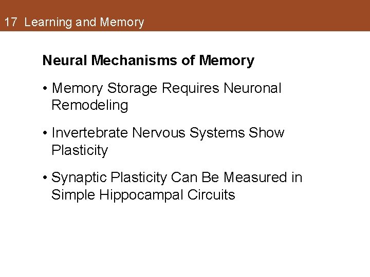 17 Learning and Memory Neural Mechanisms of Memory • Memory Storage Requires Neuronal Remodeling 17 Learning and Memory Neural Mechanisms of Memory • Memory Storage Requires Neuronal Remodeling