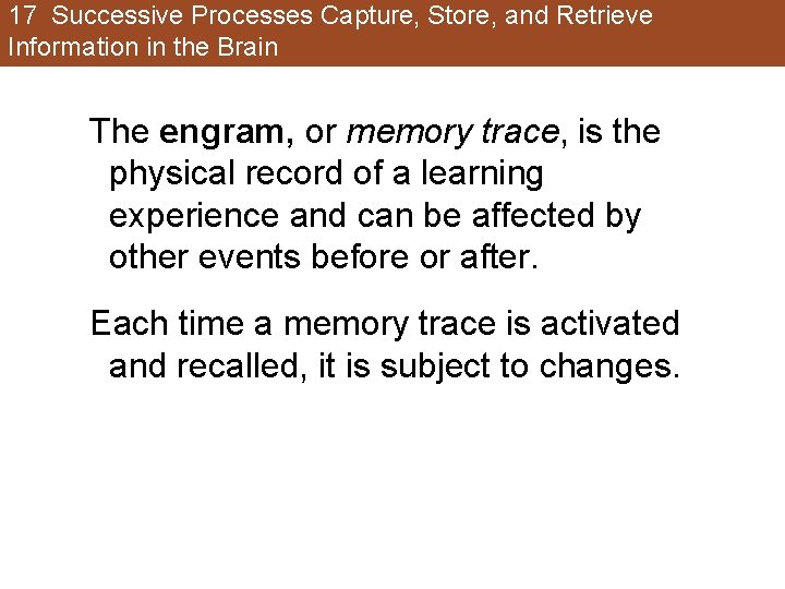 17 Successive Processes Capture, Store, and Retrieve Information in the Brain The engram, or 17 Successive Processes Capture, Store, and Retrieve Information in the Brain The engram, or