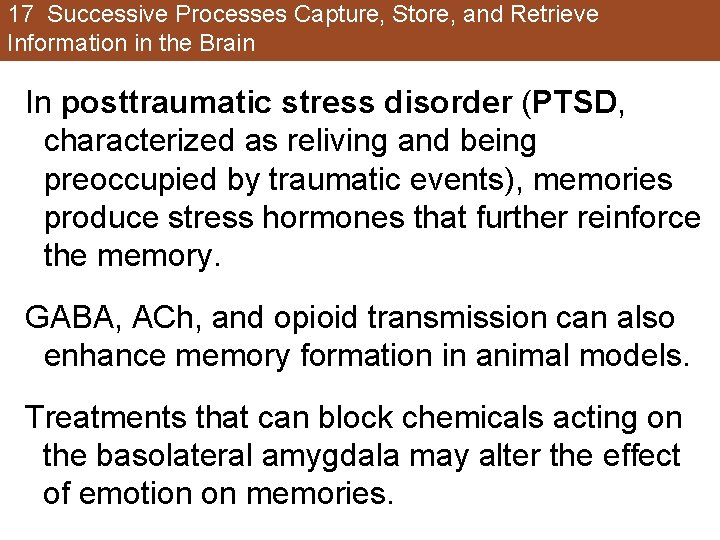 17 Successive Processes Capture, Store, and Retrieve Information in the Brain In posttraumatic stress 17 Successive Processes Capture, Store, and Retrieve Information in the Brain In posttraumatic stress