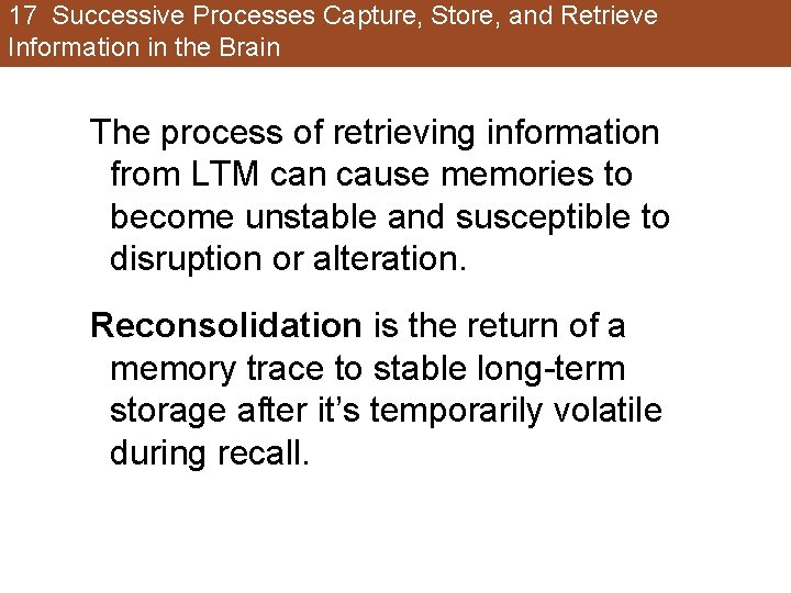 17 Successive Processes Capture, Store, and Retrieve Information in the Brain The process of 17 Successive Processes Capture, Store, and Retrieve Information in the Brain The process of