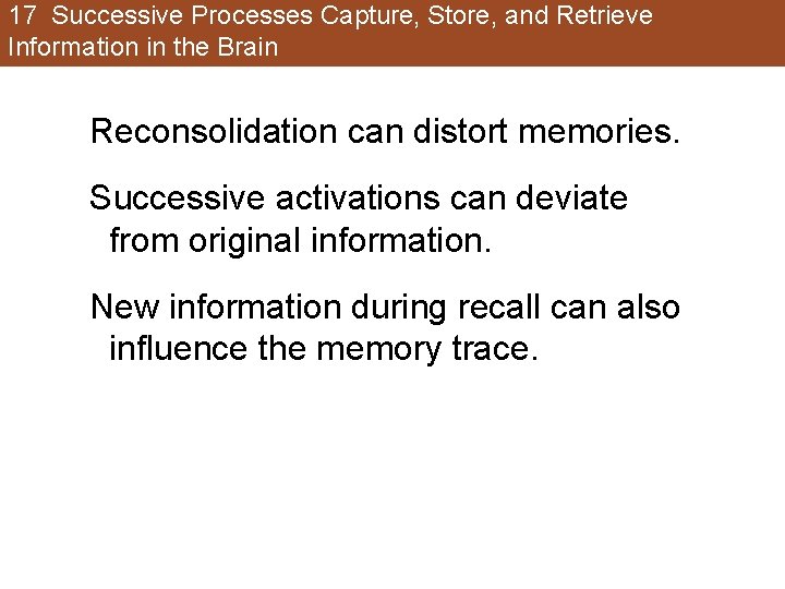 17 Successive Processes Capture, Store, and Retrieve Information in the Brain Reconsolidation can distort 17 Successive Processes Capture, Store, and Retrieve Information in the Brain Reconsolidation can distort