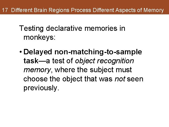 17 Different Brain Regions Process Different Aspects of Memory Testing declarative memories in monkeys: 17 Different Brain Regions Process Different Aspects of Memory Testing declarative memories in monkeys: