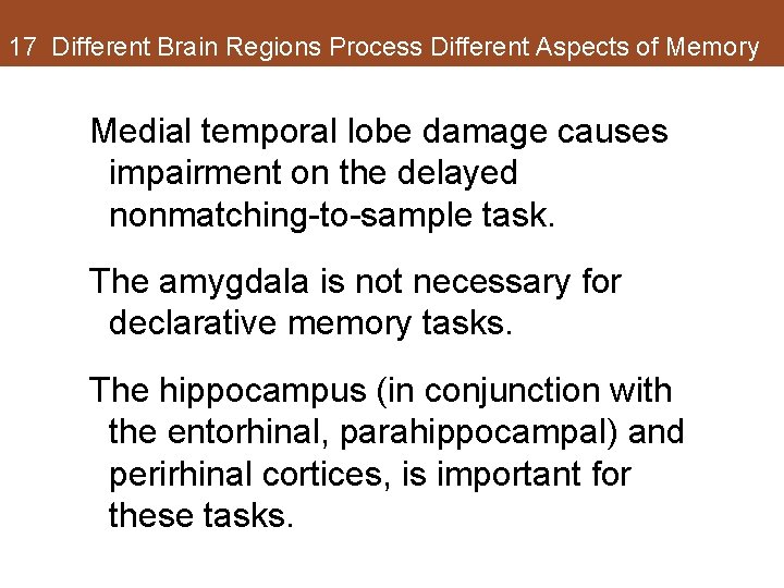 17 Different Brain Regions Process Different Aspects of Memory Medial temporal lobe damage causes 17 Different Brain Regions Process Different Aspects of Memory Medial temporal lobe damage causes