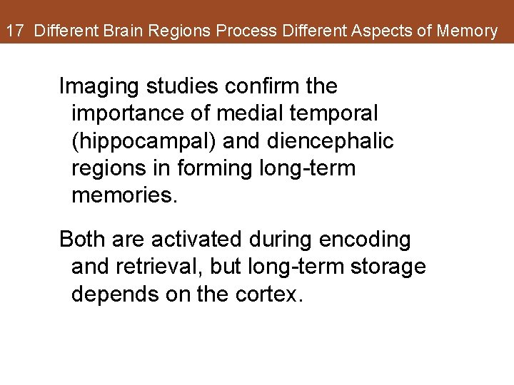 17 Different Brain Regions Process Different Aspects of Memory Imaging studies confirm the importance 17 Different Brain Regions Process Different Aspects of Memory Imaging studies confirm the importance