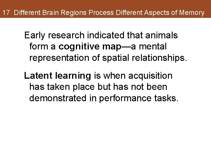 17 Different Brain Regions Process Different Aspects of Memory Early research indicated that animals 17 Different Brain Regions Process Different Aspects of Memory Early research indicated that animals