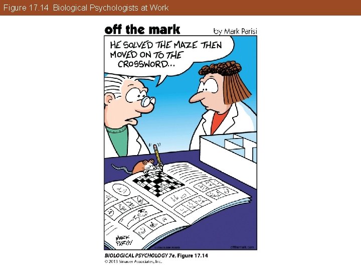 Figure 17. 14 Biological Psychologists at Work Figure 17. 14 Biological Psychologists at Work