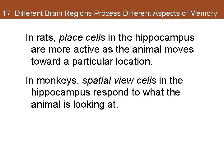 17 Different Brain Regions Process Different Aspects of Memory In rats, place cells in 17 Different Brain Regions Process Different Aspects of Memory In rats, place cells in