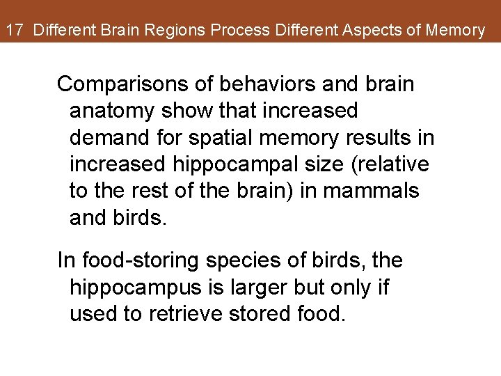 17 Different Brain Regions Process Different Aspects of Memory Comparisons of behaviors and brain 17 Different Brain Regions Process Different Aspects of Memory Comparisons of behaviors and brain