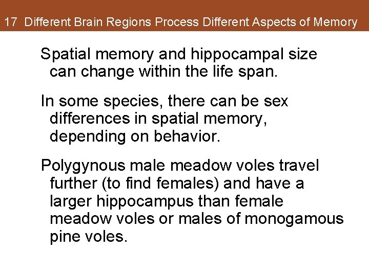 17 Different Brain Regions Process Different Aspects of Memory Spatial memory and hippocampal size 17 Different Brain Regions Process Different Aspects of Memory Spatial memory and hippocampal size
