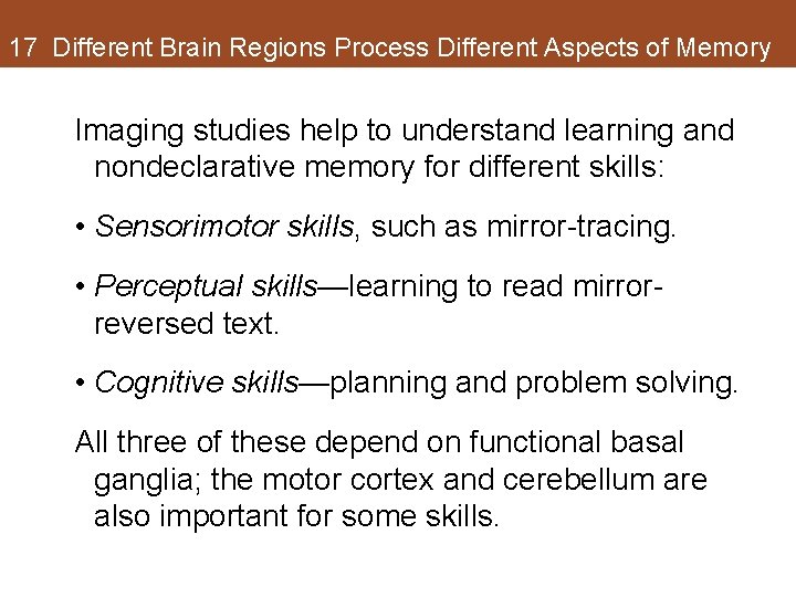 17 Different Brain Regions Process Different Aspects of Memory Imaging studies help to understand 17 Different Brain Regions Process Different Aspects of Memory Imaging studies help to understand