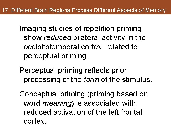 17 Different Brain Regions Process Different Aspects of Memory Imaging studies of repetition priming 17 Different Brain Regions Process Different Aspects of Memory Imaging studies of repetition priming