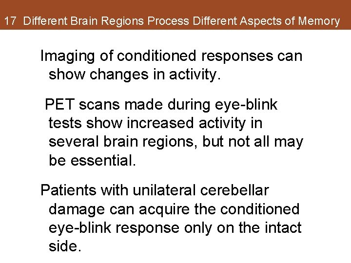 17 Different Brain Regions Process Different Aspects of Memory Imaging of conditioned responses can 17 Different Brain Regions Process Different Aspects of Memory Imaging of conditioned responses can