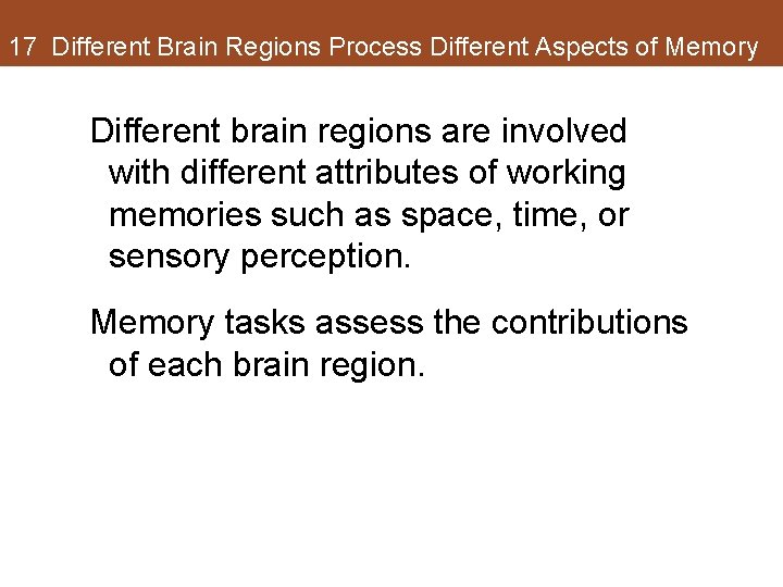 17 Different Brain Regions Process Different Aspects of Memory Different brain regions are involved 17 Different Brain Regions Process Different Aspects of Memory Different brain regions are involved