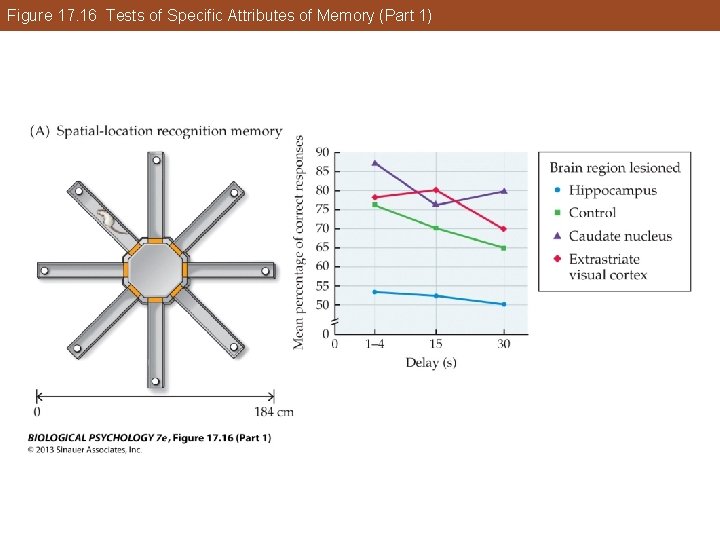 Figure 17. 16 Tests of Specific Attributes of Memory (Part 1) Figure 17. 16 Tests of Specific Attributes of Memory (Part 1)