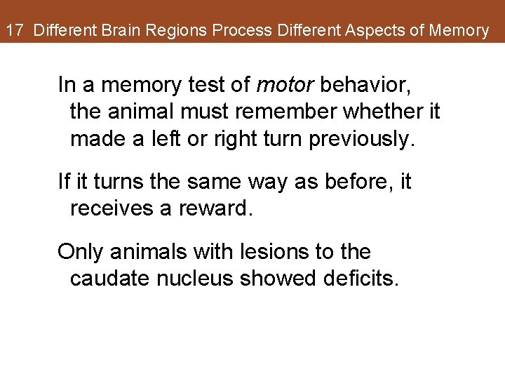 17 Different Brain Regions Process Different Aspects of Memory In a memory test of 17 Different Brain Regions Process Different Aspects of Memory In a memory test of