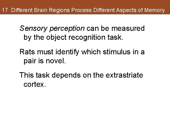 17 Different Brain Regions Process Different Aspects of Memory Sensory perception can be measured 17 Different Brain Regions Process Different Aspects of Memory Sensory perception can be measured
