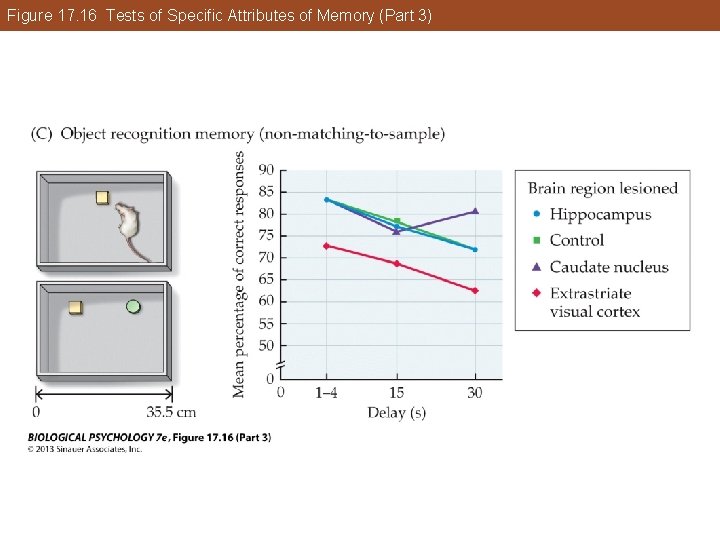 Figure 17. 16 Tests of Specific Attributes of Memory (Part 3) Figure 17. 16 Tests of Specific Attributes of Memory (Part 3)