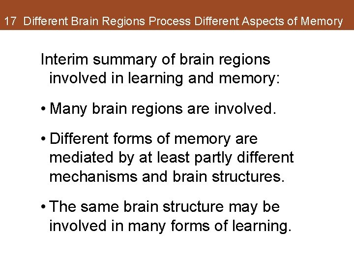 17 Different Brain Regions Process Different Aspects of Memory Interim summary of brain regions 17 Different Brain Regions Process Different Aspects of Memory Interim summary of brain regions