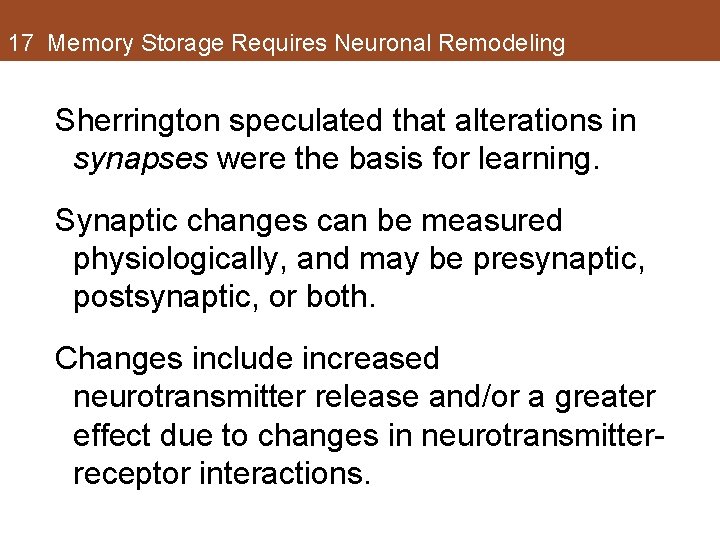 17 Memory Storage Requires Neuronal Remodeling Sherrington speculated that alterations in synapses were the 17 Memory Storage Requires Neuronal Remodeling Sherrington speculated that alterations in synapses were the