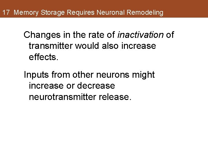 17 Memory Storage Requires Neuronal Remodeling Changes in the rate of inactivation of transmitter 17 Memory Storage Requires Neuronal Remodeling Changes in the rate of inactivation of transmitter