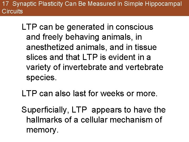 17 Synaptic Plasticity Can Be Measured in Simple Hippocampal Circuits LTP can be generated 17 Synaptic Plasticity Can Be Measured in Simple Hippocampal Circuits LTP can be generated