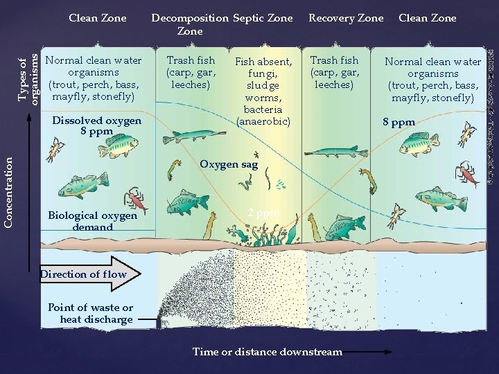 Types of organisms Clean Zone Normal clean water organisms (trout, perch, bass, mayfly, stonefly)
