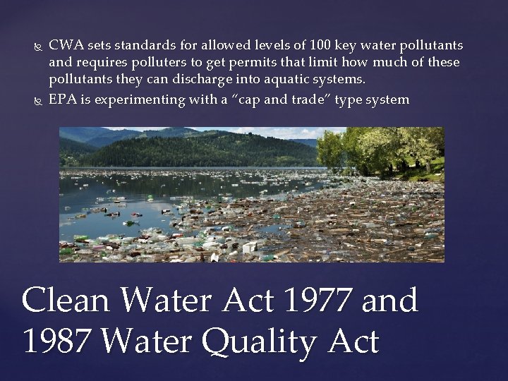  CWA sets standards for allowed levels of 100 key water pollutants and requires
