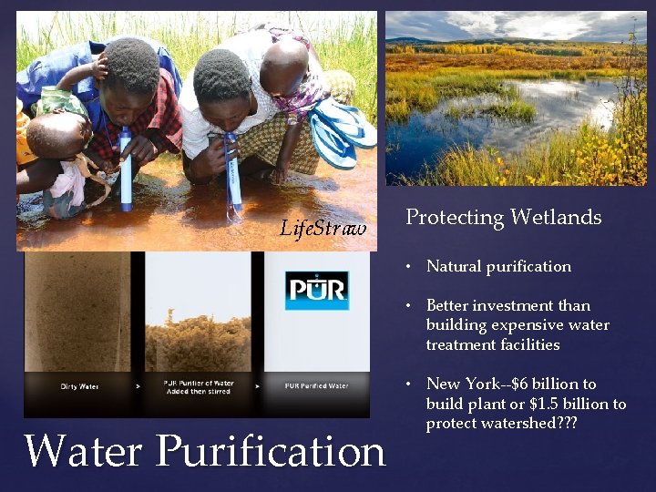 Life. Straw Protecting Wetlands • Natural purification • Better investment than building expensive water