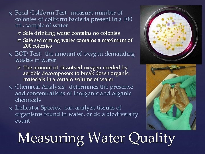  Fecal Coliform Test: measure number of colonies of coliform bacteria present in a