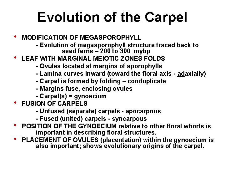 Evolution of the Carpel • • • MODIFICATION OF MEGASPOROPHYLL - Evolution of megasporophyll