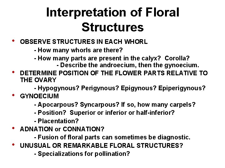 Interpretation of Floral Structures • • • OBSERVE STRUCTURES IN EACH WHORL - How