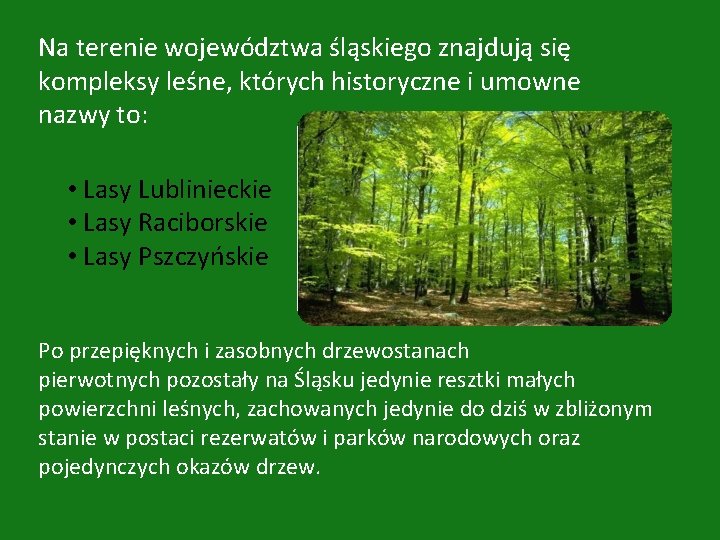 Na terenie województwa śląskiego znajdują się kompleksy leśne, których historyczne i umowne nazwy to: