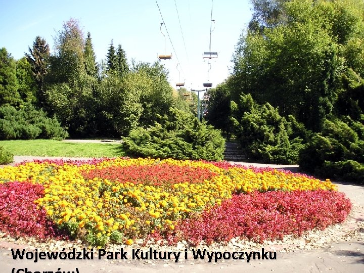 Wojewódzki Park Kultury i Wypoczynku 