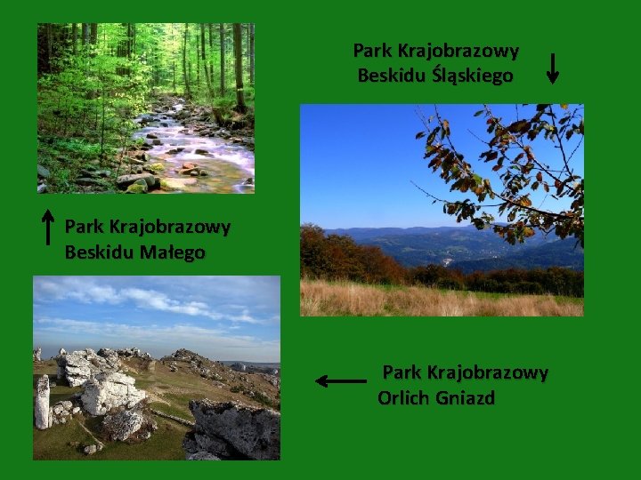 Park Krajobrazowy Beskidu Śląskiego Park Krajobrazowy Beskidu Małego Park Krajobrazowy Orlich Gniazd 