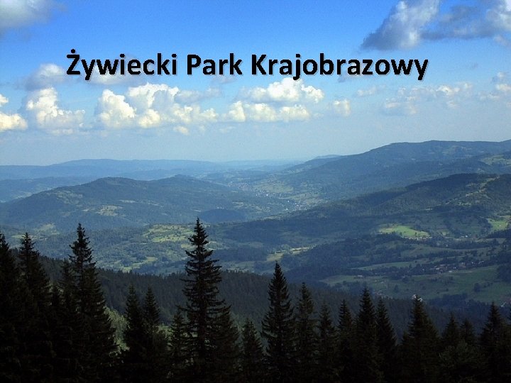  Żywiecki Park Krajobrazowy 