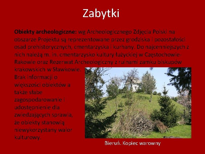 Zabytki Obiekty archeologiczne: wg Archeologicznego Zdjęcia Polski na obszarze Projektu są reprezentowane przez grodziska